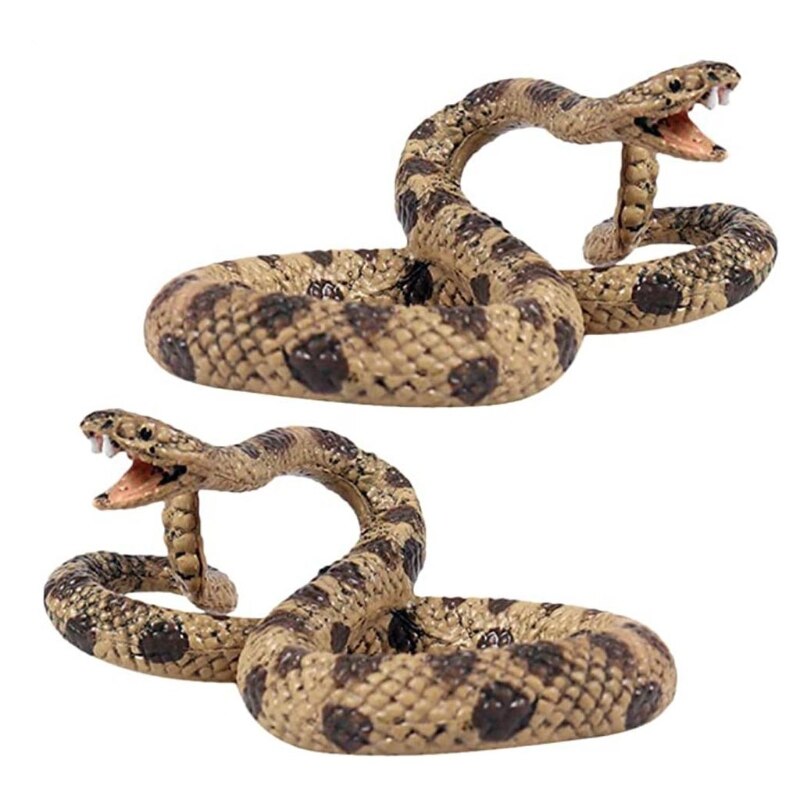 Rattlesnake