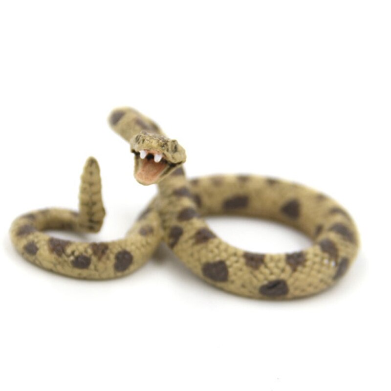 Rattlesnake