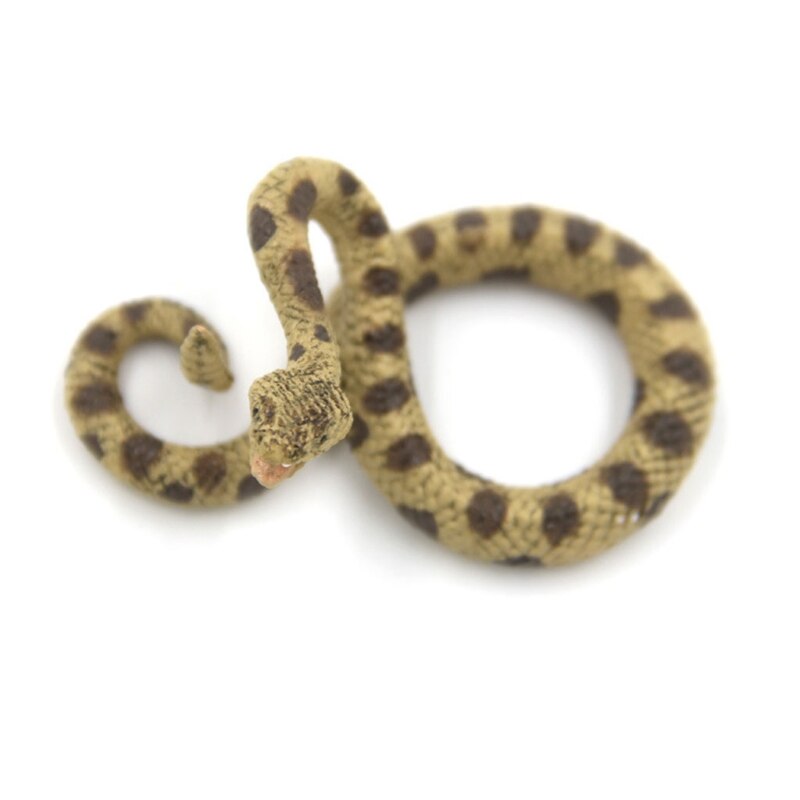 Rattlesnake